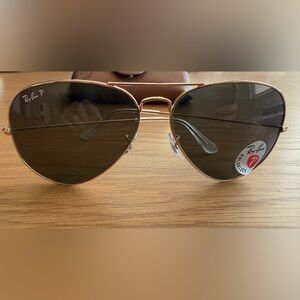 Large Aviator Sunglasses (Polarized)